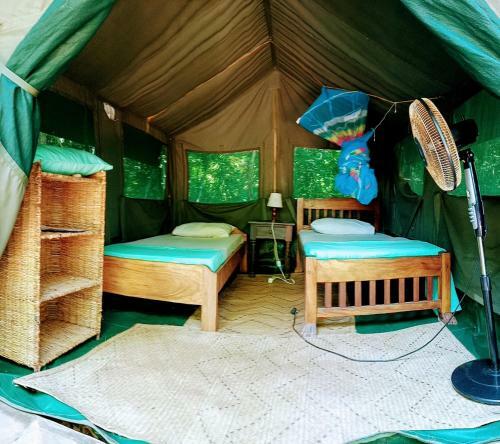 Lodge Firefly Eco Retreat