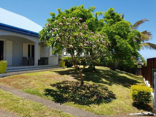 Villa Location Saisonni�re Les Hirondelles - Manapany