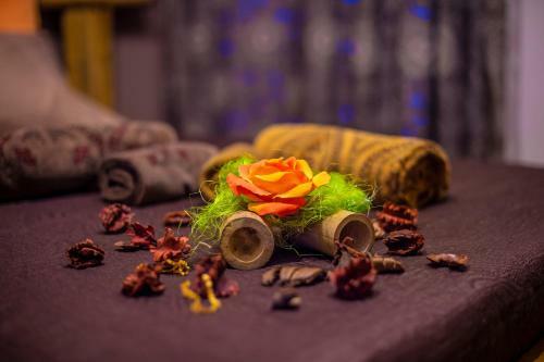 Bed & Breakfast Bnb Cheope