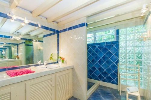 Tomi Tropical - Villa Avec Piscine � Boucan Canot