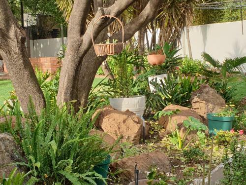 Apartamento Elephant Bush Guest Cottage