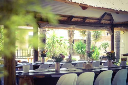 Hostal Bosveld In Die Stad