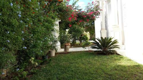 Villa Dar Sylver