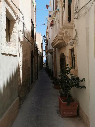 Judaica D'ortigia