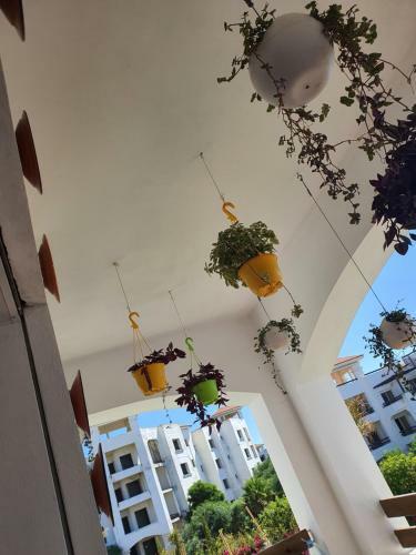 Apartamento Votre Appartement Pieds Dans L'eau