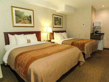Hotel Comfort Inn & Suites Medicine Hat