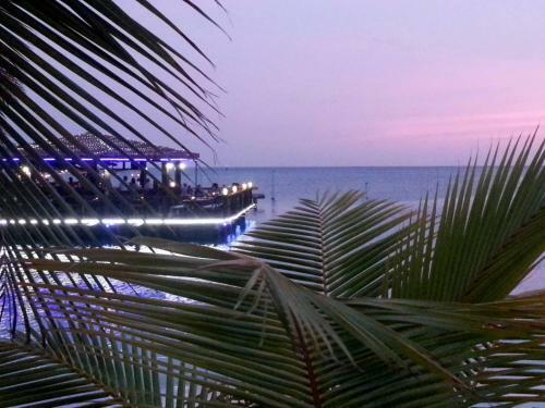Hotel Aruba Surfside Marina
