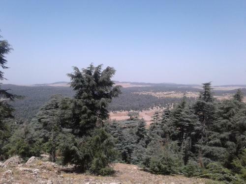 Posada Gite Foreste Tagroumt