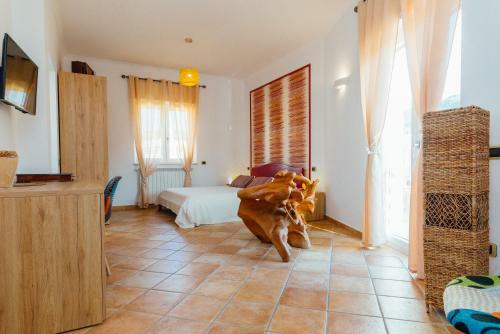 Vista Mare B&B