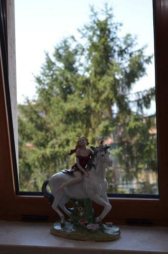 Hostal Luiselle Charming Accommodation Sorrento City Center