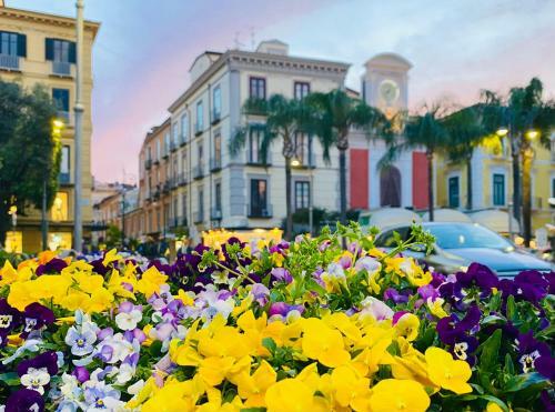 Viva Apartment Sorrento