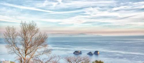 Amore Rentals - Casa Le Tore Blu
