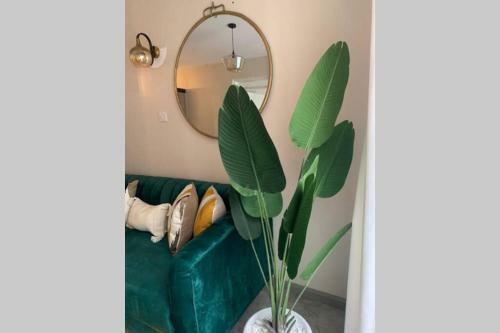 Modern 1 Bedroom Apartment. Elevated Living