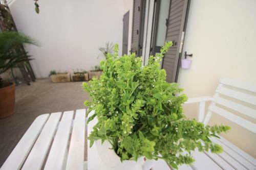 Apartamento Home Holiday Salento Casa Agros�