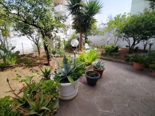 Apartamento A Casa Di Raffaella E Antonio