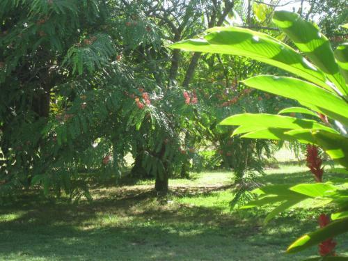 Magnetic Island Bed And Breakfast