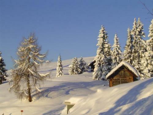 Hostal Almgasthof Fichtenheim - Emberger Alm