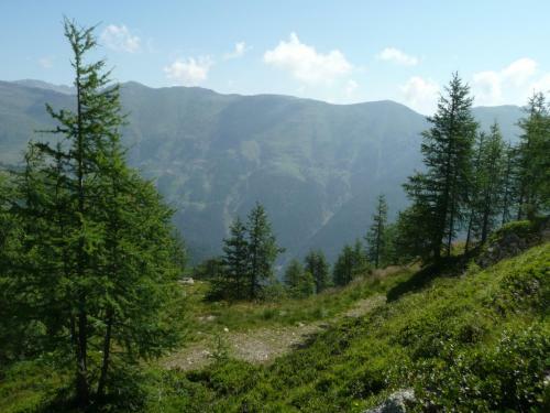 Hostal Almgasthof Fichtenheim - Emberger Alm