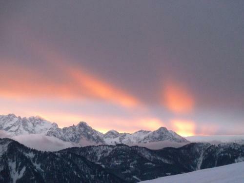 Hostal Almgasthof Fichtenheim - Emberger Alm