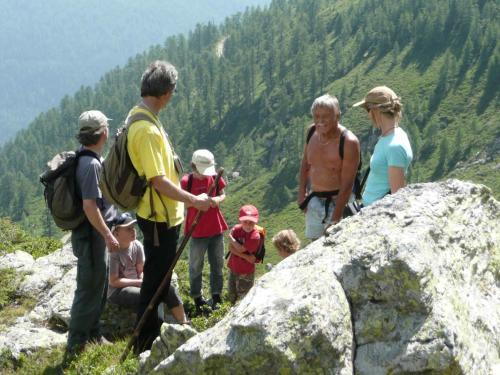 Hostal Almgasthof Fichtenheim - Emberger Alm