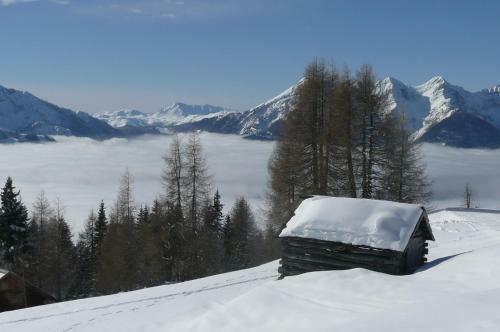 Hostal Almgasthof Fichtenheim - Emberger Alm