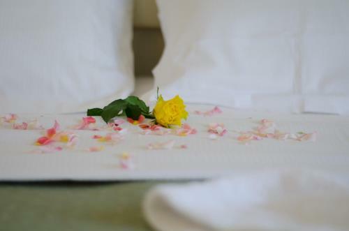 Hotel Ovidius