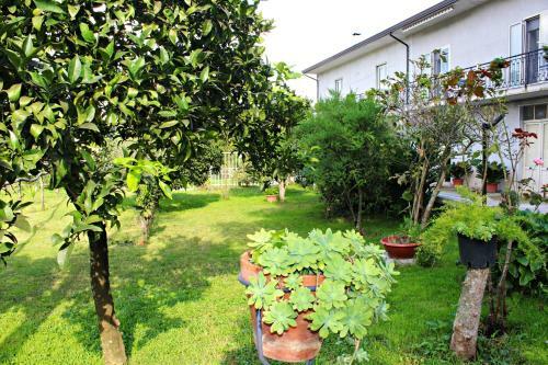 Bed & Breakfast Il Moro Bianco