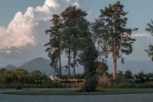 Agroturismo I Cacciagalli