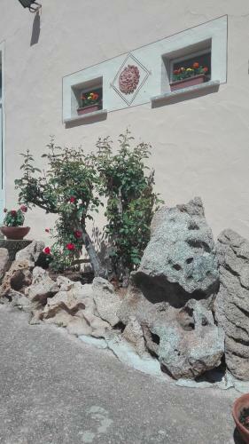Agroturismo Agriturismo Monte Pino