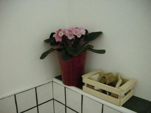 Bed & Breakfast Il Crocevia