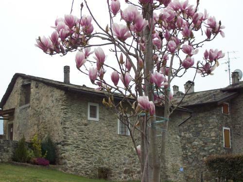 Casa San Martino
