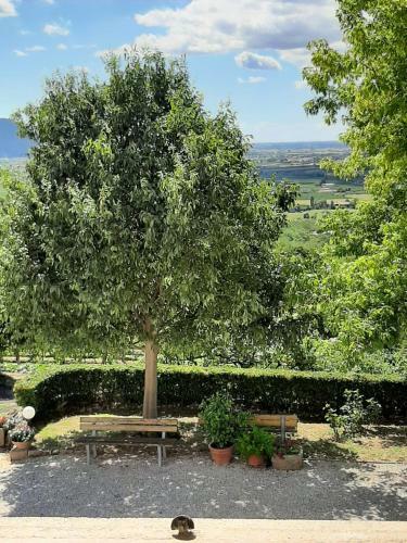 Agroturismo Il Castagneto