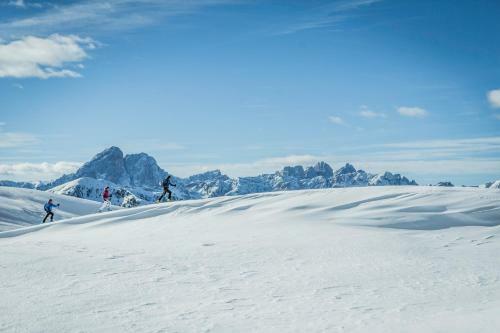 Apartamento Chalet Schmied