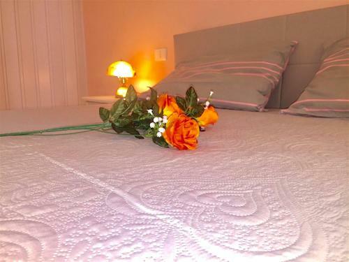 Apartamento Casa Bellavista