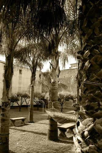 Giardino Del Vesuvio