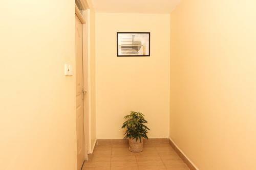 Exquisite Fully Furnished 1 Bedroom Apartment