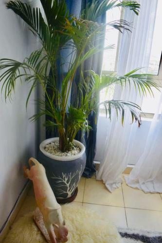 Apartamento Mish Comfy House