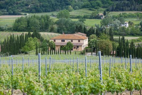 Agroturismo Badia Di Morrona Agriturismo