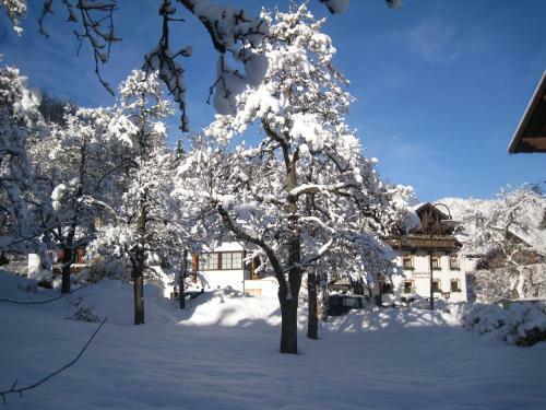 Hostal Gasthof Piburger See
