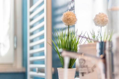 Apartamento La Casa Rosa