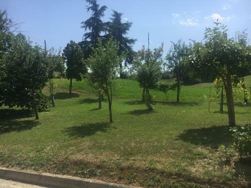 Bed & Breakfast B & B Pratopiano
