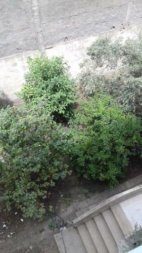 Apartamento Dar El Baraka