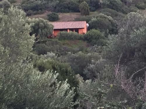 Hostal Amalfatah