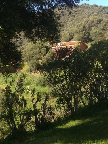 Hostal Amalfatah