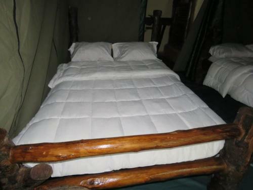 Hotel Jungle Lodge