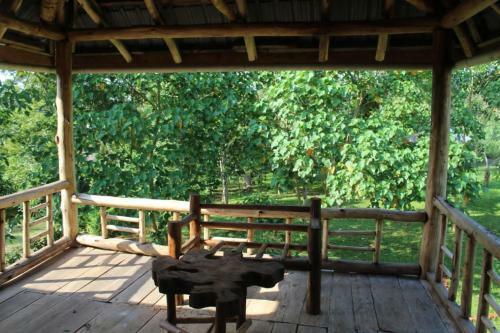 Hotel Jungle Lodge