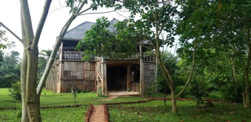 Hotel Jungle Lodge