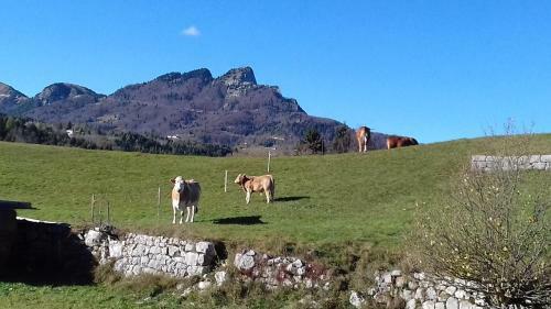 Apartamento Casa Da Paolo
