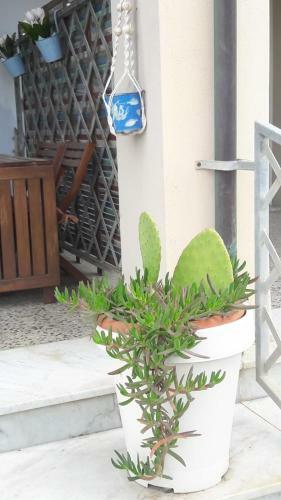 Apartamento Sea Beach Relax