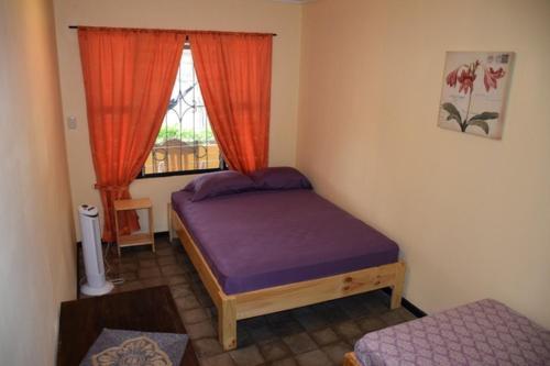 Pura Vida Mini Hostel - Tamarindo Costa Rica